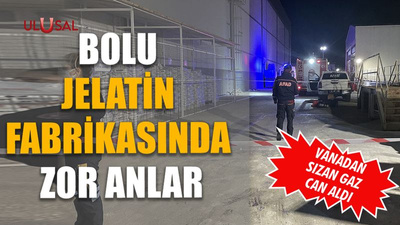 Bolu jelatin fabrikasında zor anlar: Vanadan sızan gaz can aldı